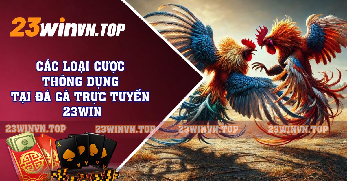 Các loại cược thông dụng tại đá gà trực tuyến 23WIN