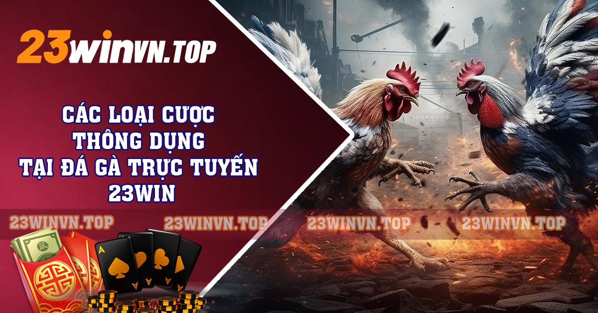 Cách tham gia trực tuyến tại đá gà 23WIN