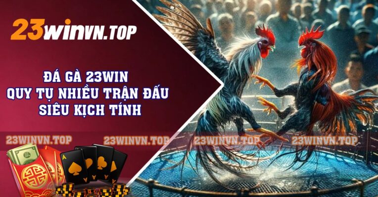 Đá Gà 23win - Quy Tụ Nhiều Trận Đấu Siêu Kịch Tính