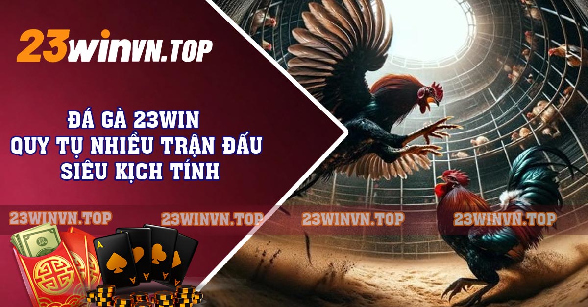 Tại sao chọn đá gà trực tuyến 23 WIN?
