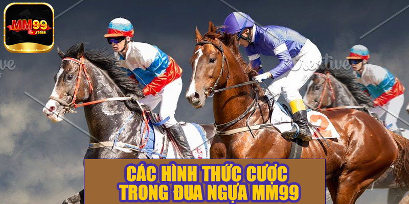 Các hình thức cược trong đua ngựa MM99