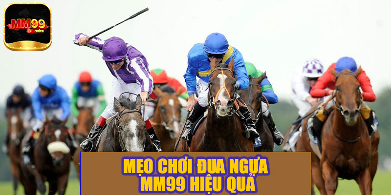 Mẹo chơi đua ngựa MM99 hiệu quả