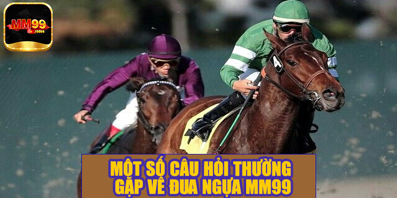 Một số câu hỏi thường gặp về đua ngựa MM99