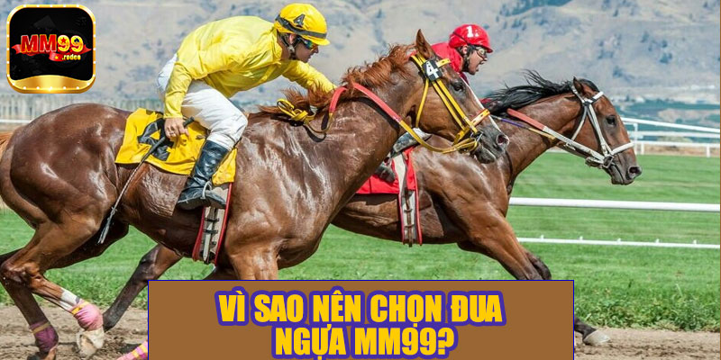 Vì sao nên chọn đua ngựa MM99?