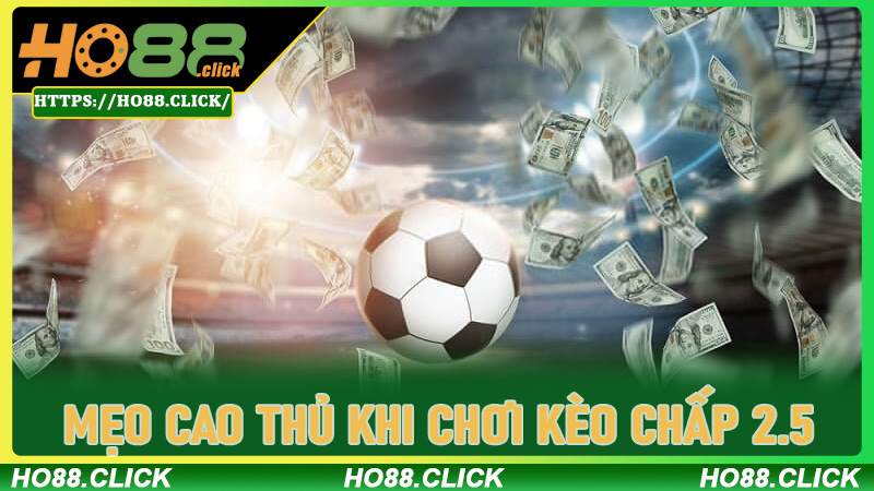 Mẹo cao thủ khi chơi Kèo Chấp 2.5